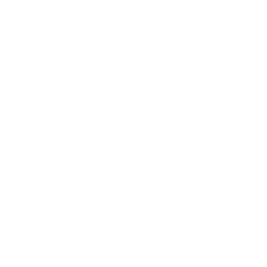 Noise Icon