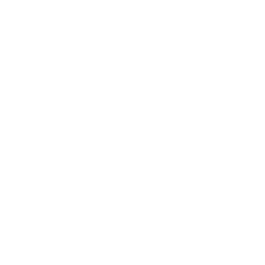 Thermometer Icon