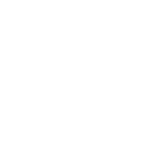 Virus Icon